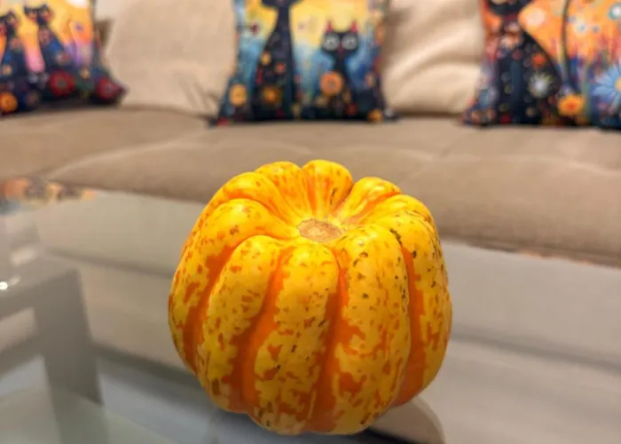 Villardi & Free Parking